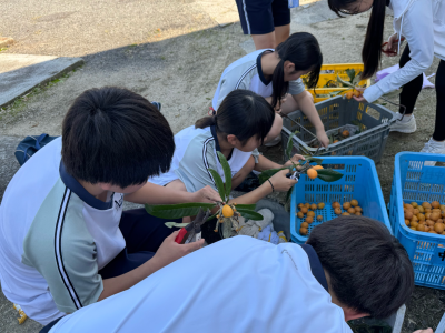 1年1組_学級活動_髙橋　倫太郎_2026年6月10日のノート_87