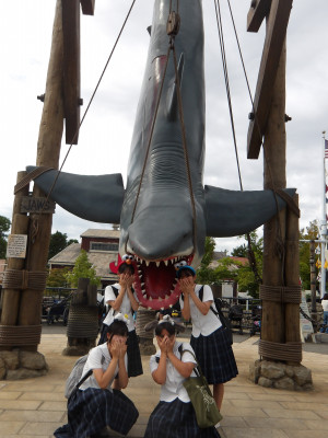IMGP0338