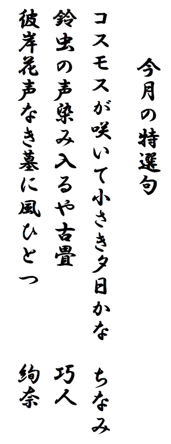 スクリーンショット 2025-10-24 180251